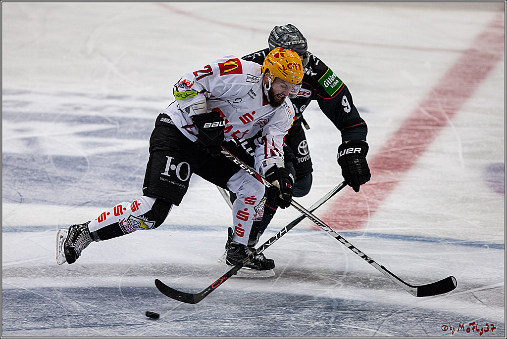Koelner Haie - Pinguins Bremerhaven, 25.10.2016